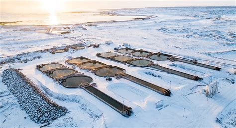 are there factory farms in iceland